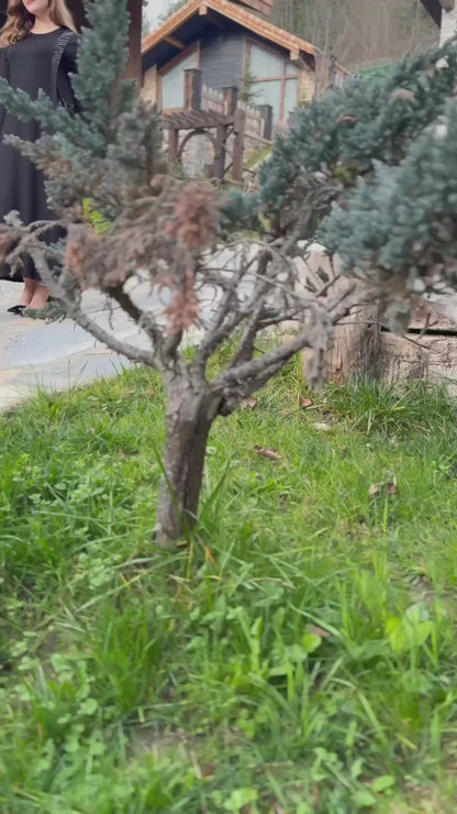 Yan Bağcıklı Büyük Beden Elbise